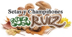 SETAS Y CHAMPIÑONES RUIZ