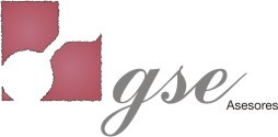 GSE ASESORES