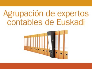 AGRUPACION DE EXPERTOS CONTABLES DE EUSKADI