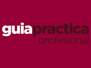 GUIA PRACTICA PROFESIONAL