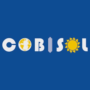 COBISOL - TINTADO DE LUNAS